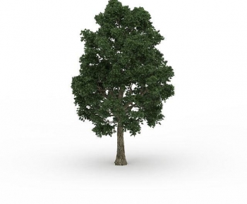 Modern Tree-ID:294786938