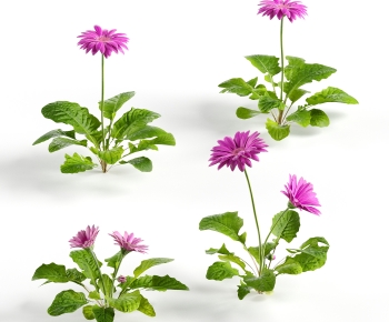 Modern Flowers And Grass-ID:575910099