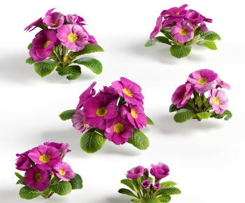 Modern Flowers And Grass-ID:188571935