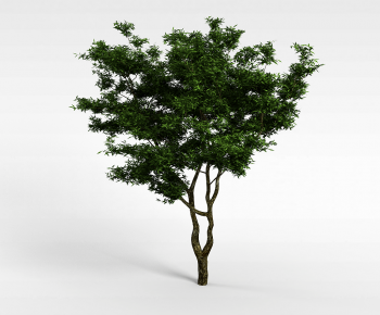 Modern Tree-ID:785612112