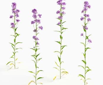 Modern Flowers And Grass-ID:726831084