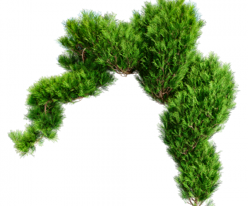 Modern Plant-ID:476089002