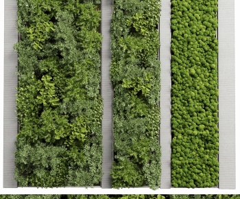 Modern Plant Wall-ID:498104105