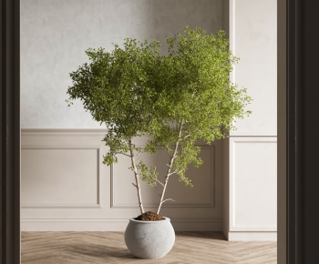 Modern Ground Green Plant Potted Plants-ID:560427909