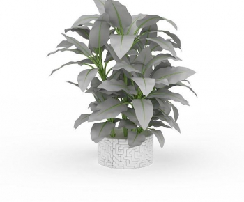 Modern Potted Green Plant-ID:312346947