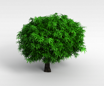 Modern Tree-ID:257548098