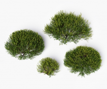 现代灌木绿植组合-ID:934310078