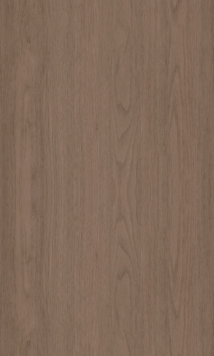 ModernWood Texture
