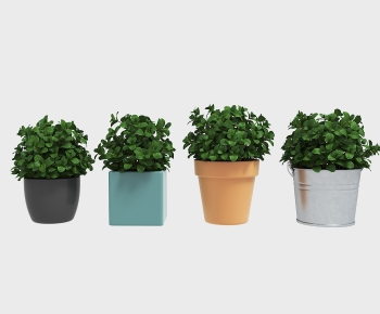 Modern Desktop Plant-ID:300440827