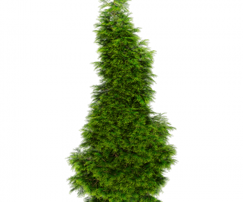 Modern Shrubbery-ID:285912994