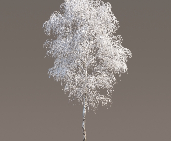 Modern Tree-ID:905299902
