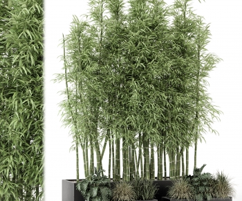 Modern Bamboo-ID:880717994