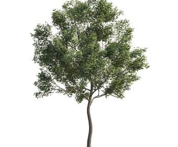 Modern Tree-ID:868304017
