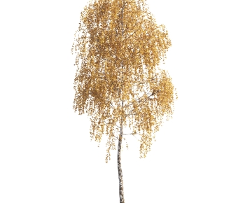 Modern Tree-ID:541224008