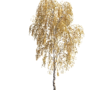 Modern Tree-ID:516859056