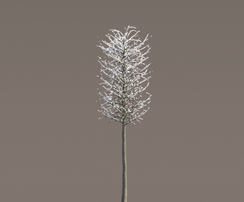 Modern Tree-ID:555937054