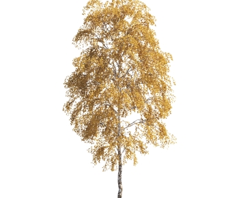 Modern Tree-ID:177521941