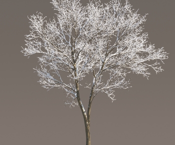 Modern Tree-ID:428895001