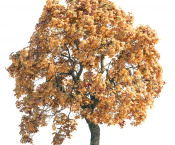 Modern Tree-ID:949516068