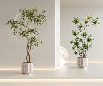 Modern Ground Green Plant Potted Plants-ID:995301967