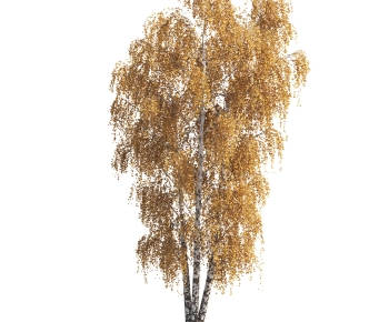 Modern Tree-ID:193701982