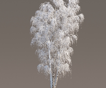 Modern Tree-ID:582505949