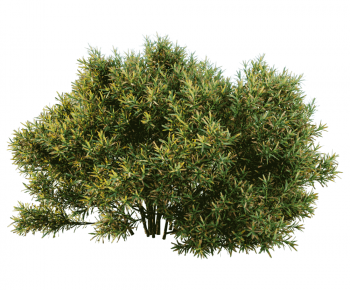 Modern Shrubbery-ID:338110968