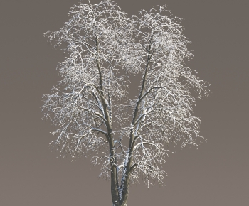 Modern Tree-ID:332379315
