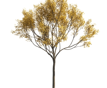 Modern Tree-ID:616760024
