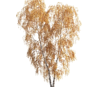 Modern Tree-ID:185442921