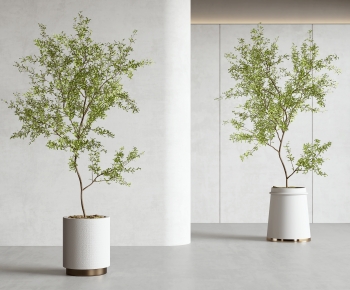 Modern Ground Green Plant Potted Plants-ID:564946894