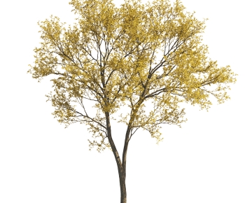Modern Tree-ID:956010106