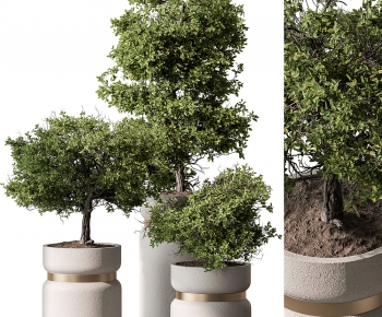 Modern Ground Green Plant Potted Plants-ID:390738962