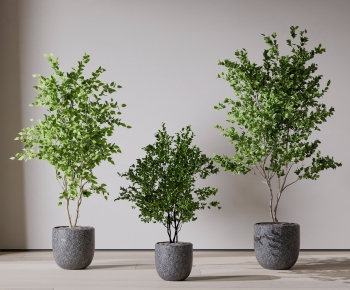 Modern Ground Green Plant Potted Plants-ID:937728881