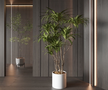 Modern Ground Green Plant Potted Plants-ID:911458025