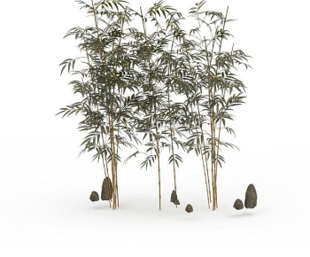 Modern Bamboo-ID:376773124