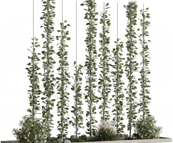 Modern Plant Landscaping-ID:221729995