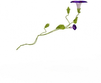 Modern Flowers And Grass-ID:622263917