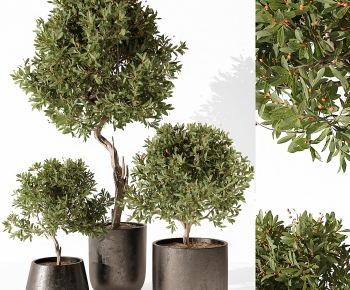 Modern Ground Green Plant Potted Plants-ID:537080056