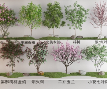 Modern Tree-ID:388513092
