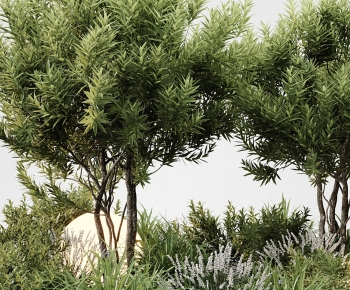 Modern Plant Pile-ID:307559971