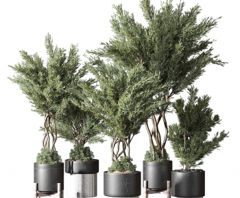 Modern Ground Green Plant Potted Plants-ID:691912891