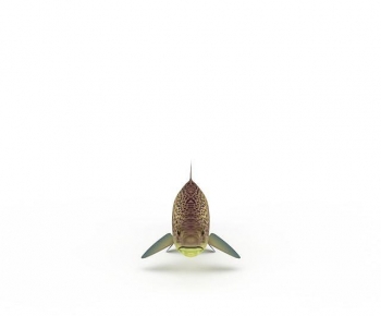 Modern Aquatic Animals-ID:926723004