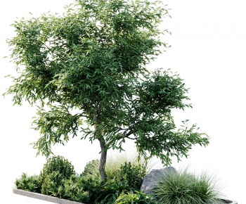 Modern Plant Pile-ID:238182076