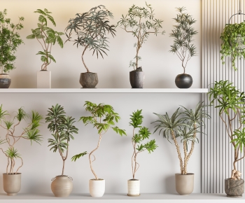 Modern Ground Green Plant Potted Plants-ID:977282056