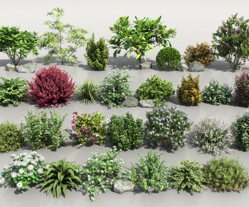 Modern Shrubbery-ID:836999894