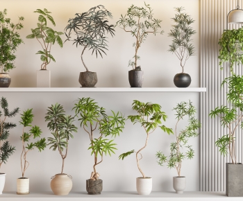 Modern Ground Green Plant Potted Plants-ID:413460752