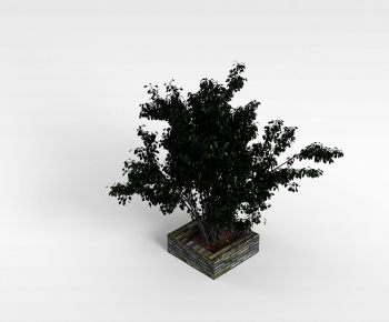 Modern Tree-ID:393924955