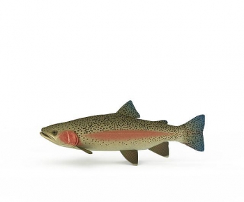 Modern Aquatic Animals-ID:342310911