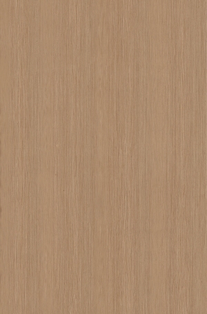ModernWood Texture